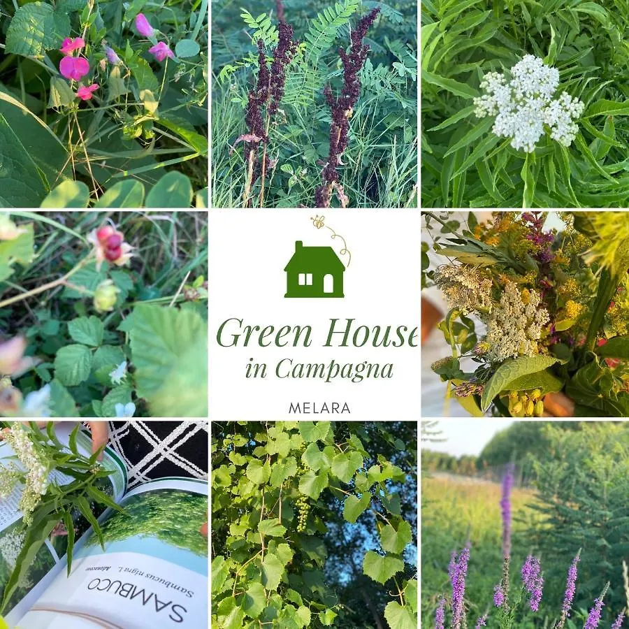 Green House In Campagna Melara