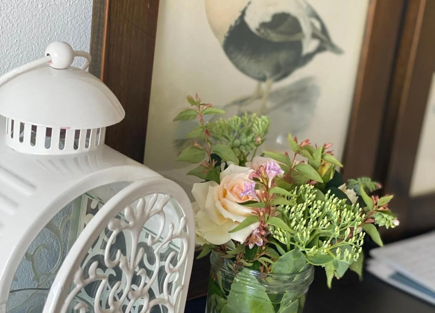 Green House In Campagna Melara Apartment